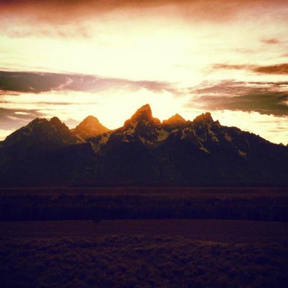 Meet your Posher, Ryan